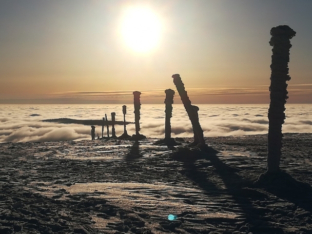 Pohled z vrcholu Králického Sněžníku na západ